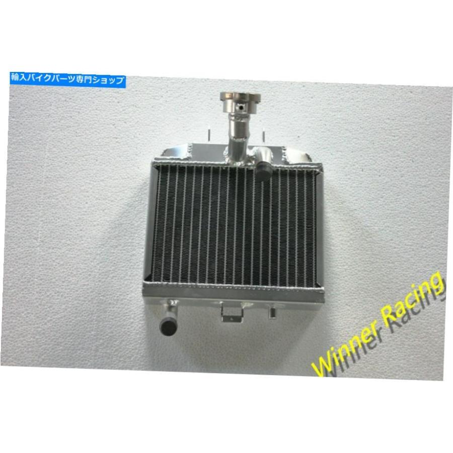radiators ホンダダッシュNova RS125 RS 125 2001のためのアルミニウム