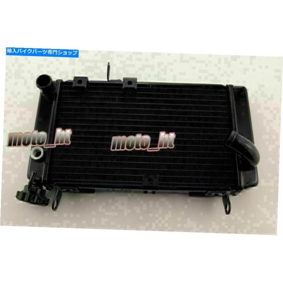 Radiator guard grill for Suzuki SV 650 radiators スズキSV650