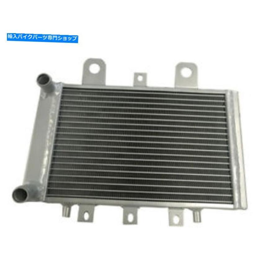radiators 1995 - 2002年のためのアルミニウムラジエーター凱旋鳥/伝説96 97 98 99 01 02 Aluminum Radiator For 1995-2002 Triumph Thunderbirds / L