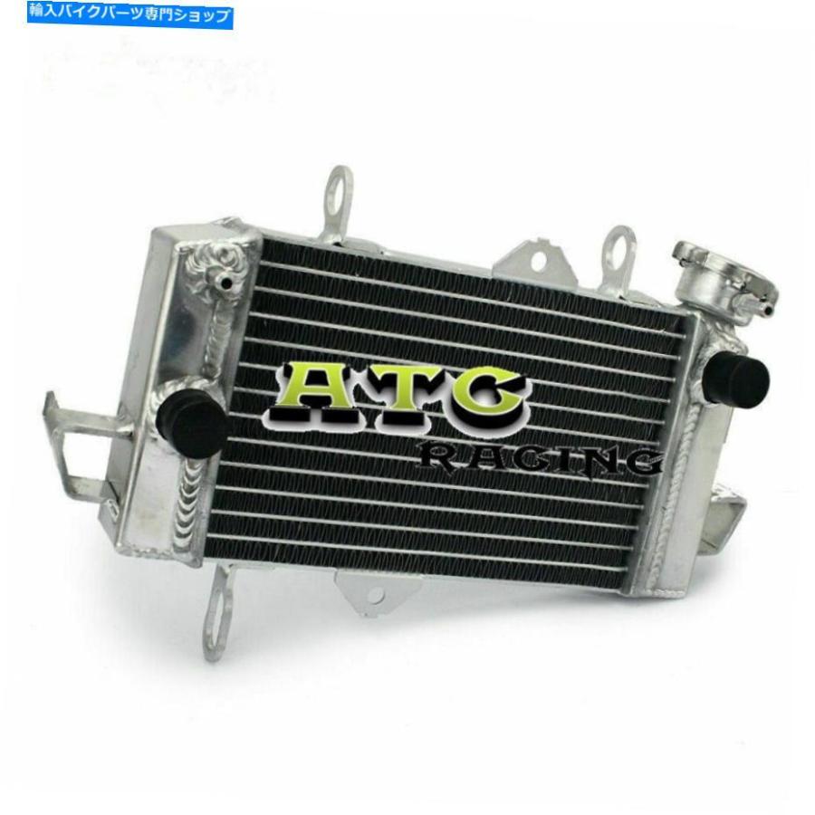 radiators ←YZF R125 YZF-R125 RE06 YZF-R 125 2008-2013 4ストローク用アルダラーモーター - オリジナルのタイトルを表示 ヤマハ YZF R125 YZF-R125