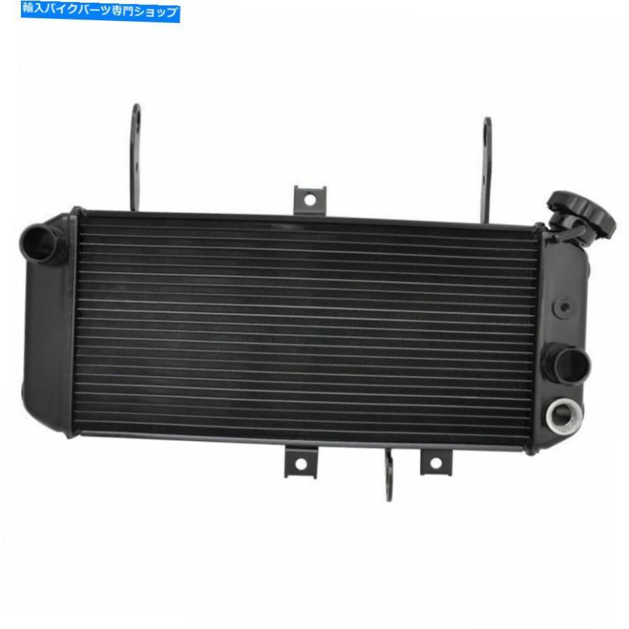 radiators スコードSV650 SV650S 2005-2009用品商品カートテイクネン=ランプラ - オリジナルのタイトルを表示 スズキ SV650 SV650S 2005-2009 用新品