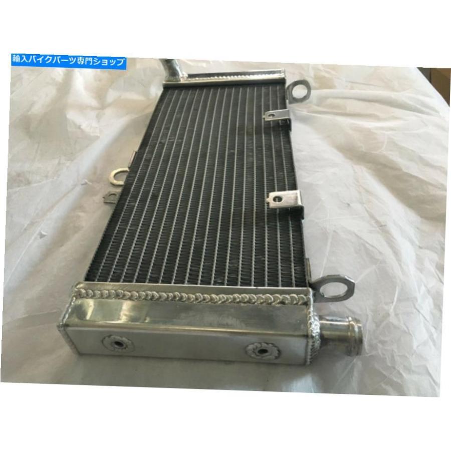 radiators ホンダCB900F 919ホーネット02-07用ゴーファシャーラジエーター GOLPHER RADIATOR FOR HONDA CB900F 919 HORNET 02-07の画像