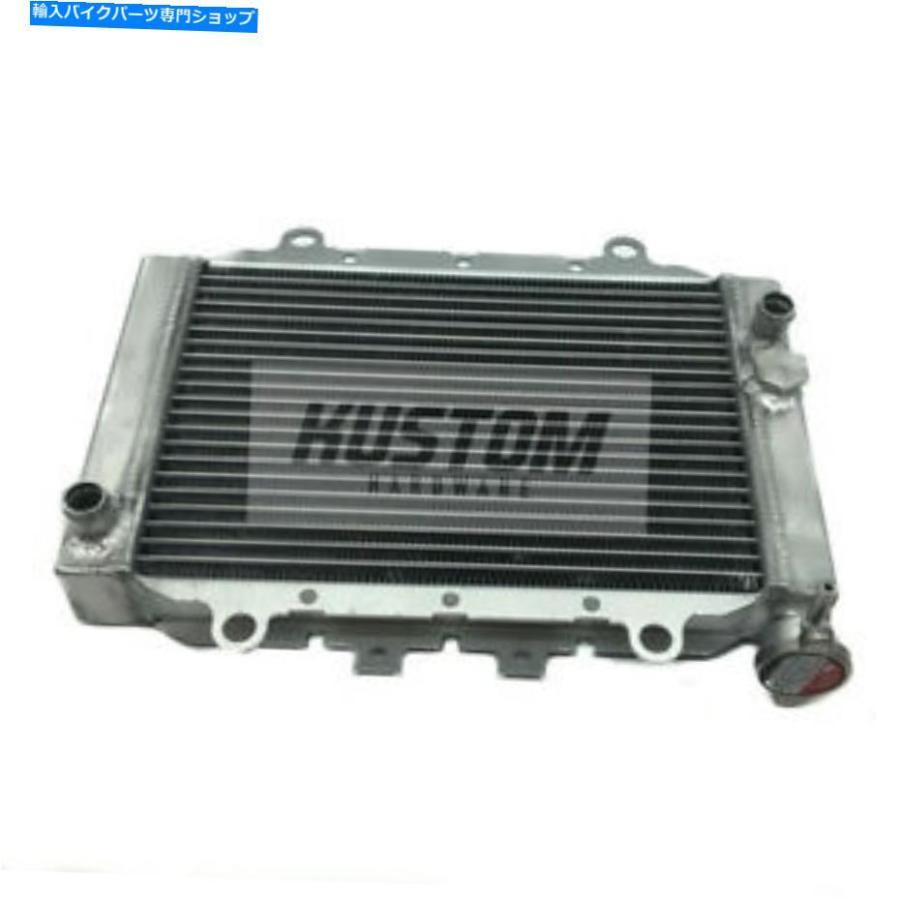 radiators ラジエーターはヤマハYFM450FA Grizzly 2007 2008 2009 2009 2009 2009 2009 Radiator Fits YAMAHA YFM450FA GRIZZLY 2007 2008 2009 2010