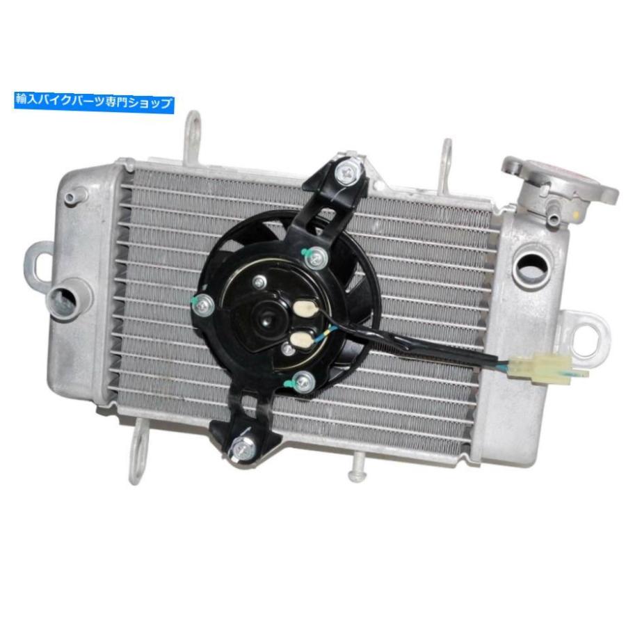 radiators ファンS2Uを用いたNOS YAMAHA YZF R15ラジエータ radiators ファンS2Uを用いたNOS YAMAHA YZF R15ラジエータ