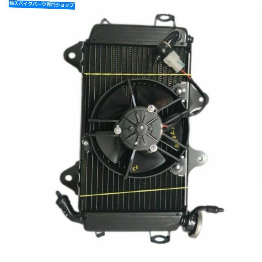radiators KTM Duke 250 390ラダーマニュージアムマニュージール・エン・スストフィルル用2017-2020-オリジナルのタイトルを表示 KTM DUKE 250 390 ラの画像