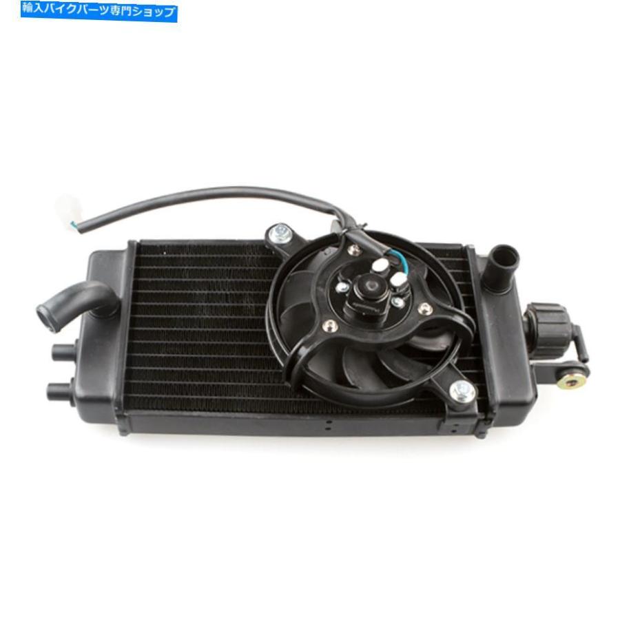 radiators UMのためのラジエーター（RAD005）（＃005） Radiator (RAD005) for UM (#005)の画像