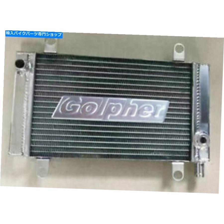radiators DERBI GP1 250 I 2008-2010パフォーマンスウォーターラジエーター DERBI GP1 250 i 2008-2010 PERFORMANCE WATER RADIATOR
