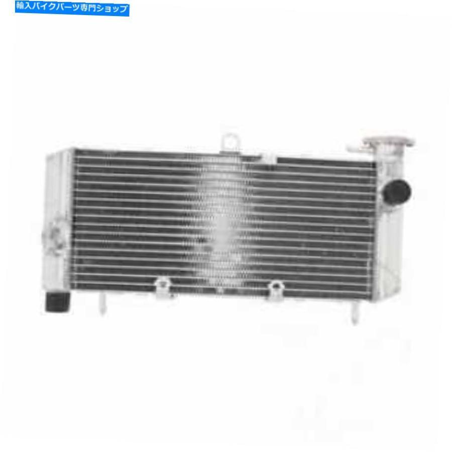 radiators ホンダCB 600 S F2 Hornet S 2000-2003用ラジエーターJMP Radiator JMP For Honda CB 600 S F2 Hornet S 2000-2003