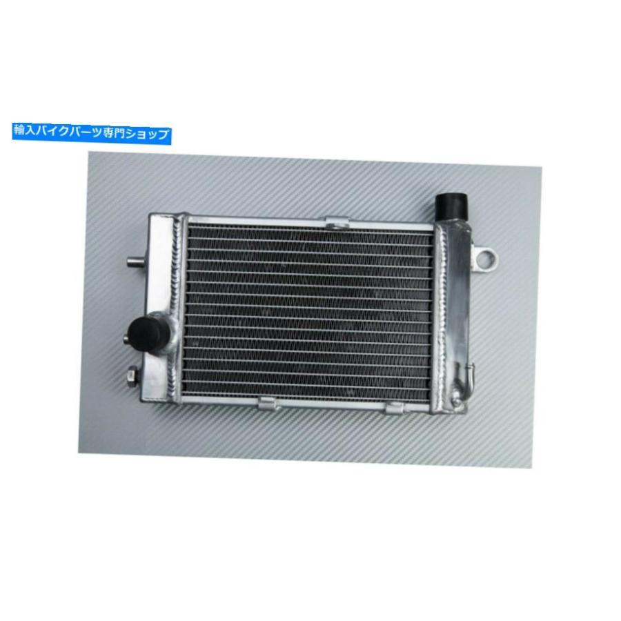 radiators 右レース交換用ラジエーターウォータークーラーAprilia RSV 1000 R 2001-2003 RIGHT Racing Replacement Radiator Water Cooler APRILIA RS
