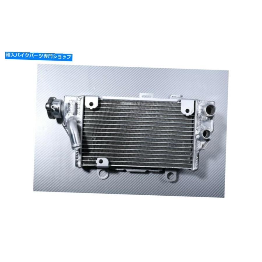 radiators 右交換用ラジエーターウォータークーラーホンダアフリカツインCRF 1000 2016-2019 RIGHT Replacement Radiator Water Cooler HONDA AFRICA_1