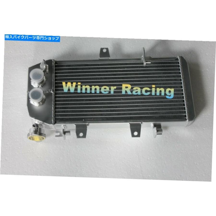 radiators 内蔵サーモスタットアルミラジエータなしでBMW F650GS F700GS F700GS F700GS F700GS F700GS F800R / ST Fit BMW F650GS F700GS F800R/S/STの画像