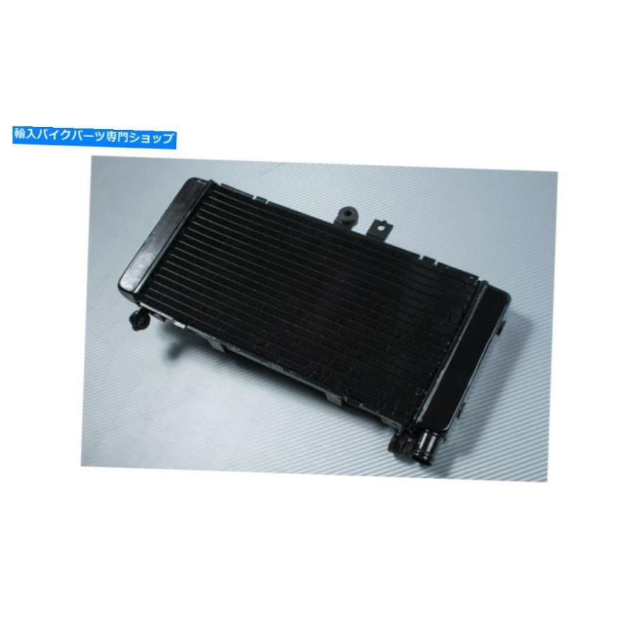 radiators 交換用ラジエーターウォータークーラーOEMスタイルホンダCB900ホーネットCB 900 2002-2006 Replacement Radiator Water Cooler OEM Style Hの画像