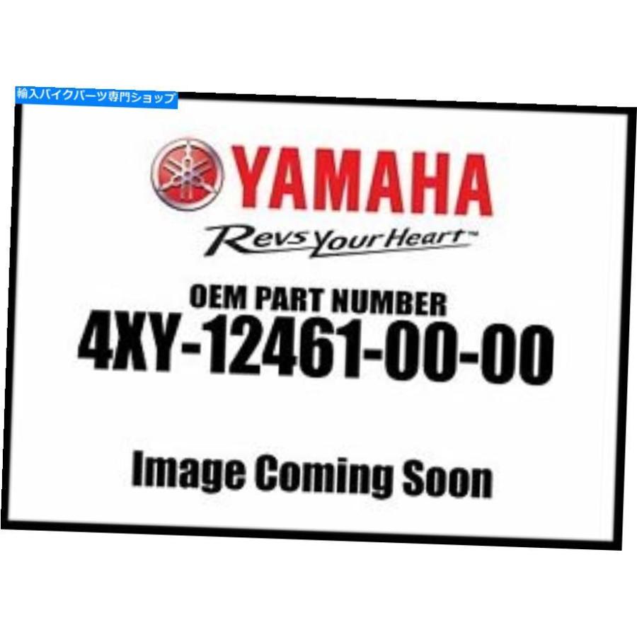 radiators ヤマハロイヤルスターミッドナイトツアーデラックスラジエーターASSY 4XY-12461-00-00新しいOEM Yamaha Royal Star Midnight Tour Deluxe R