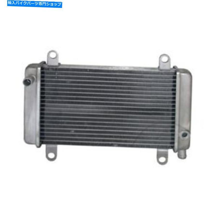 radiators Derbi GP1 125 2007 - 2008用ラジエーターJMP Radiator Jmp For Derbi GP1 125 2007 - 2008