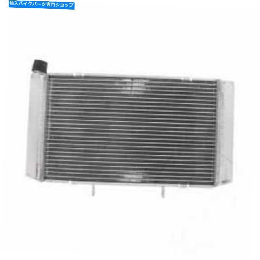 radiators Honda CBF 600 NA ABS 2008-2013のためのラジエーターJMP Radiator JMP For Honda CBF 600 NA ABS 2008-2013