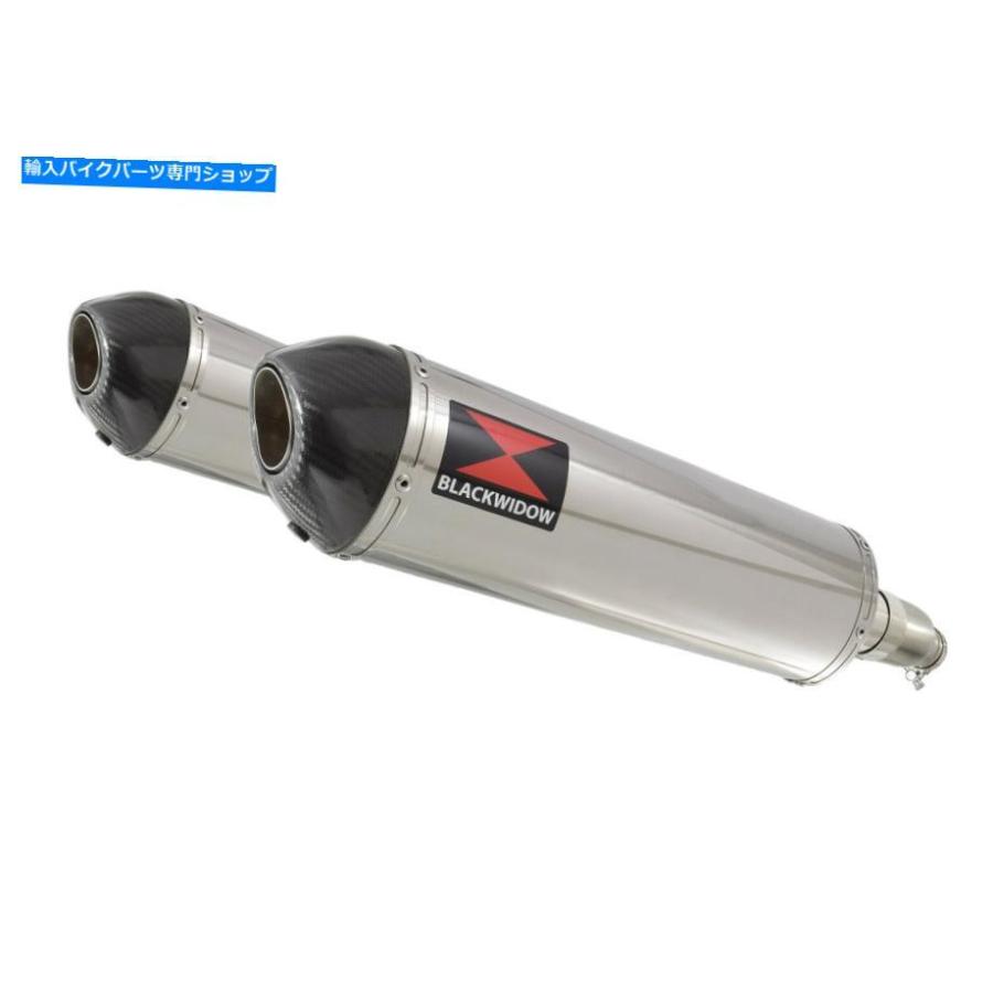 クロームパーツ ホンダCBR 1100 XXブラックバード4-2排気サイレンサーステンレス+カーボンチップ400st Honda CBR 1100 XX Blackbird 4-2 Exhaust Sileの画像