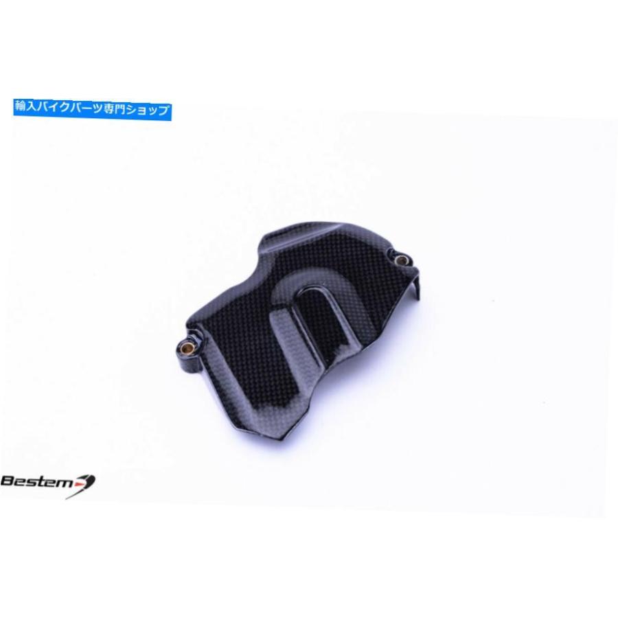 カーボン 2014-2020 KTM 1290スーパーデュークR / GTカーボン