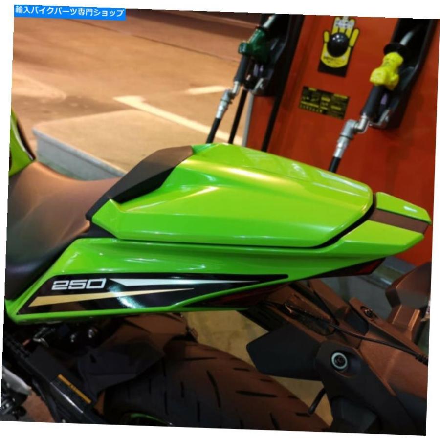 カーボン 川崎ZX-25R ZX25Rリアの助手席シートバックカバー カーボン 川崎ZX-25R ZX25Rリアの助手席シートバックカバー