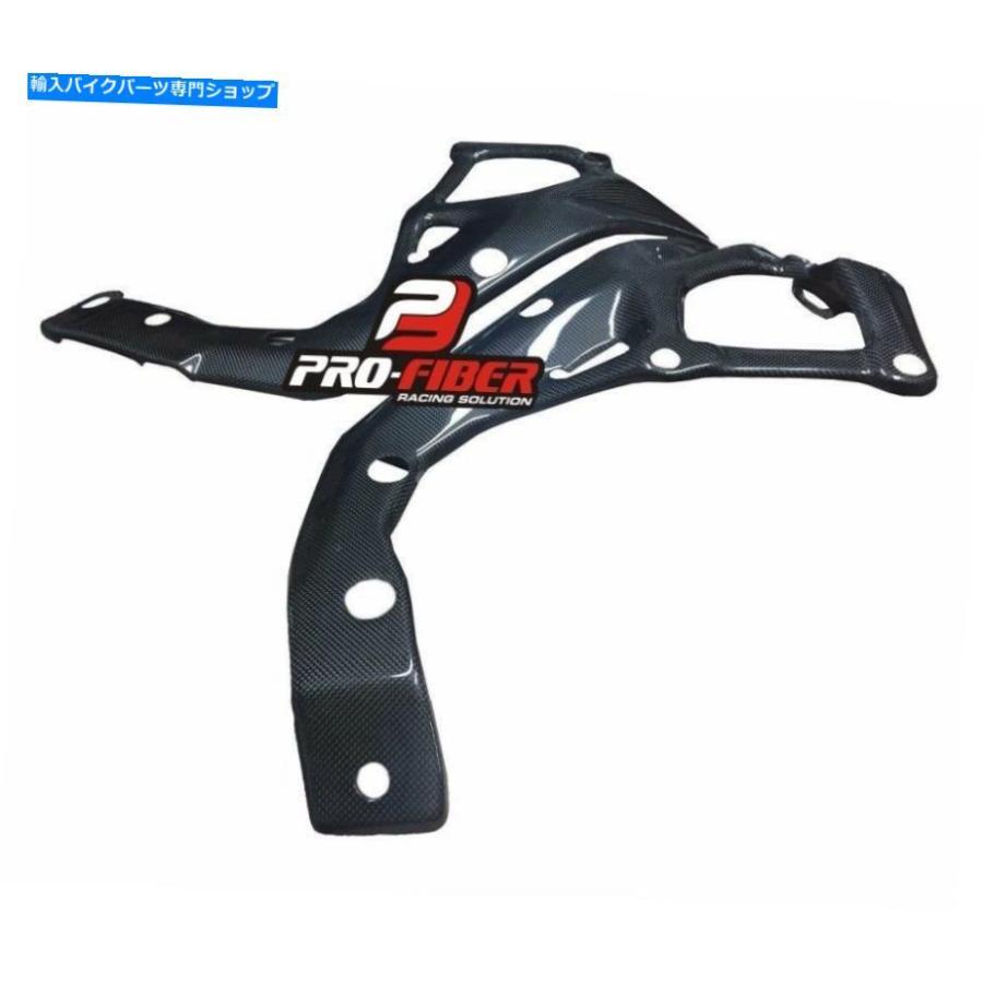 s1000rr カーボンフレームカバー 2011年式 SPEEDRA フレームカバー 左右セット ドライカーボン | すべての