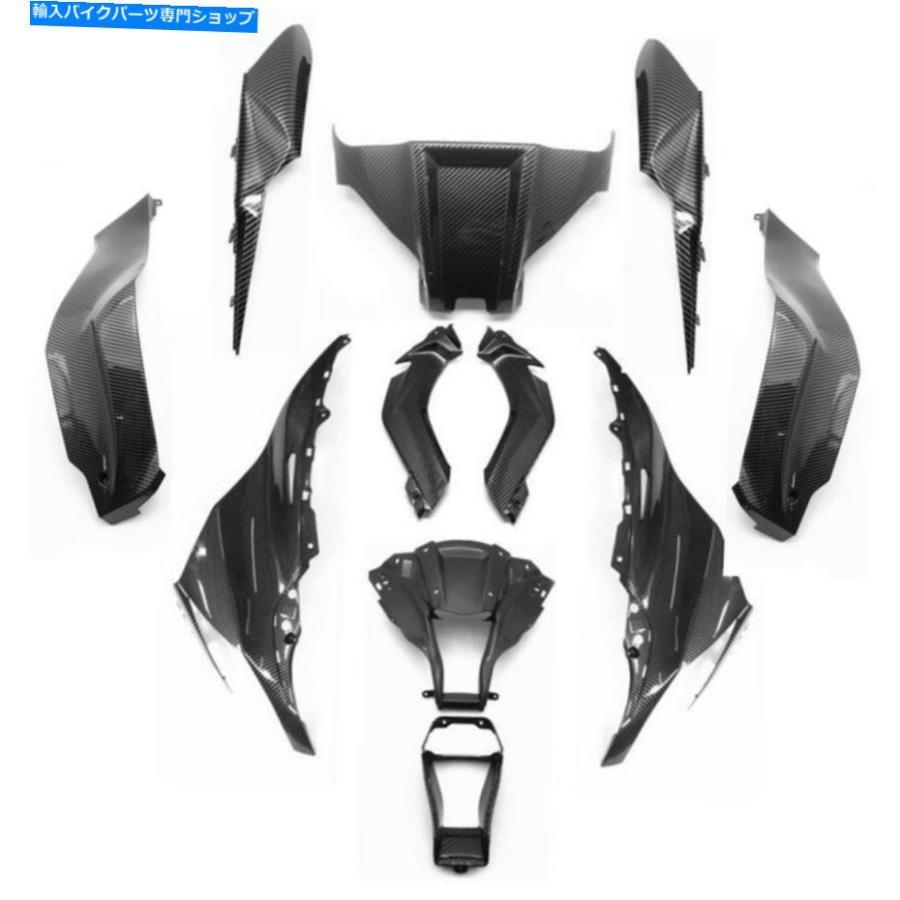 カーボン 川崎忍者ZX-10Rのためのフロントフェアリングセットボディ