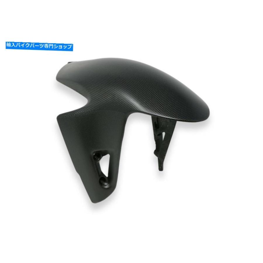 カーボン DUCATI PANIGALE V4 / SフロンカーボンフェンダーMUDGUARDマットカーボンレーシングMOTOGP Ducati Panigale V4 / S Front Carbon Fender Mud