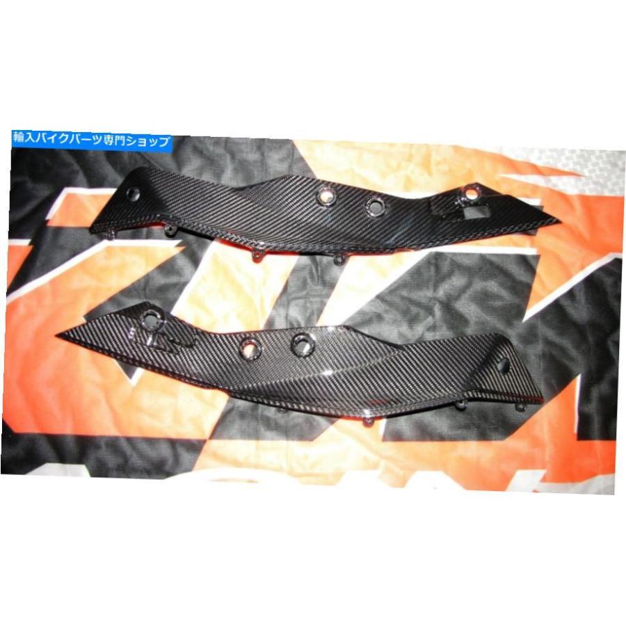 カーボン KTM 1290リアルカーボンテールカバーバリオスーツケースSuperAdventure For KTM 1290 Real Carbon Tail Cover Vario Suitcase Superadventur