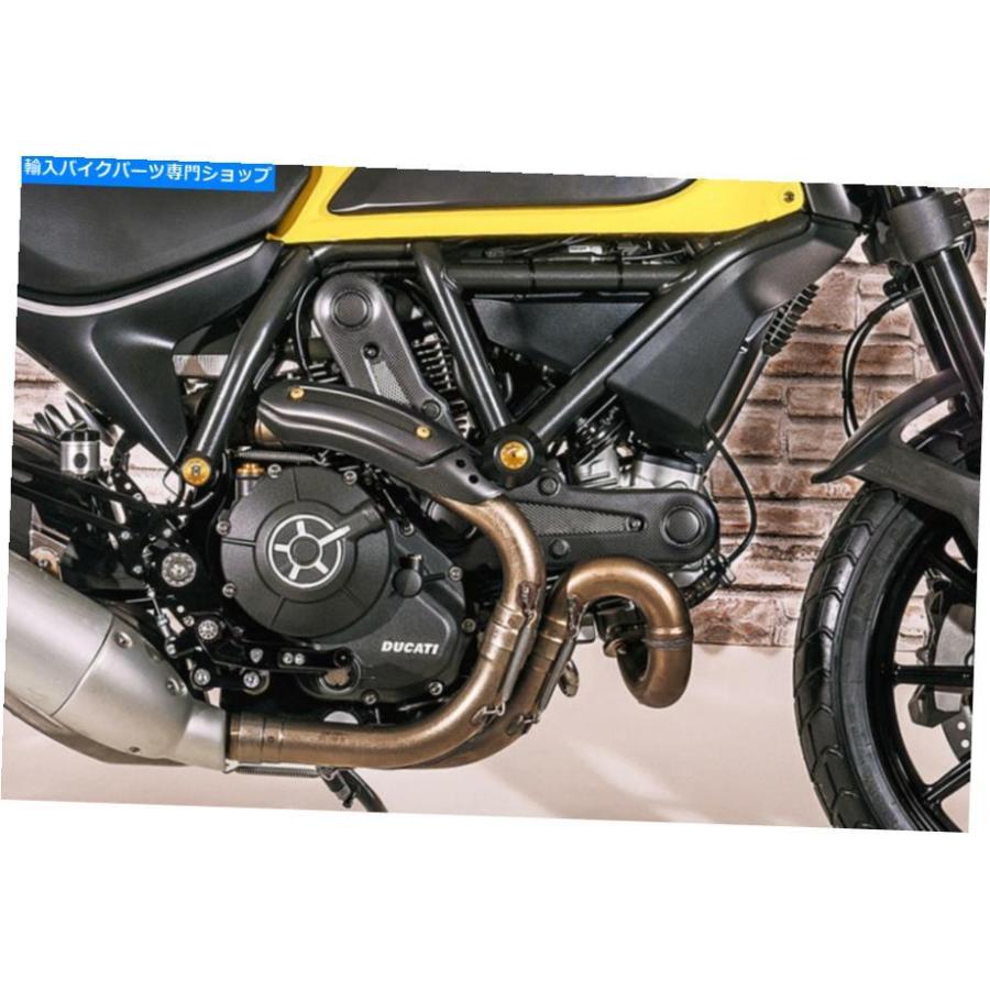 カーボン ドゥカティモンスター797 2017 + CNCレーシングカーボンマットタイミングベルトカバーレースMotoGP Ducati Monster 797 2017 + CNC Racing c
