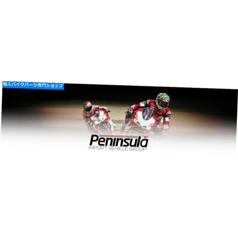カーボン DUCATI PANIGALE PAINIGALE 899/959カーボンリアマッドガード