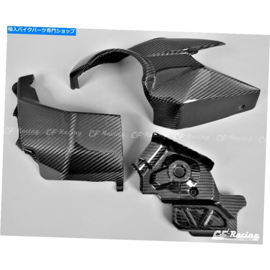 カーボン ホンダVFR1200F横型エンジンパネル（2010） - 100％炭素繊維 Honda VFR1200F Lateral Engine Panels (2010) - 100% Carbon Fiber