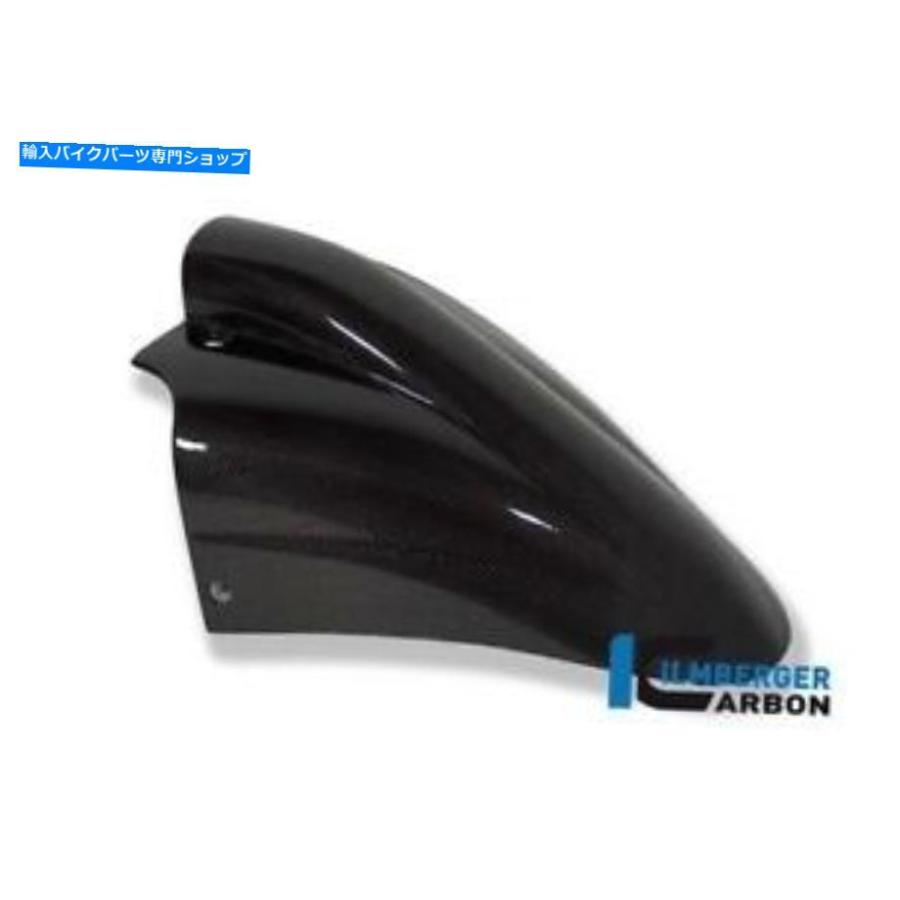 カーボン IlmbergerカーボンファイバーフロントマッドガードBMW R1150R Rockster 2000-2005 Ilmberger Carbon Fibre Front Mudguard BMW R1150R Rocks