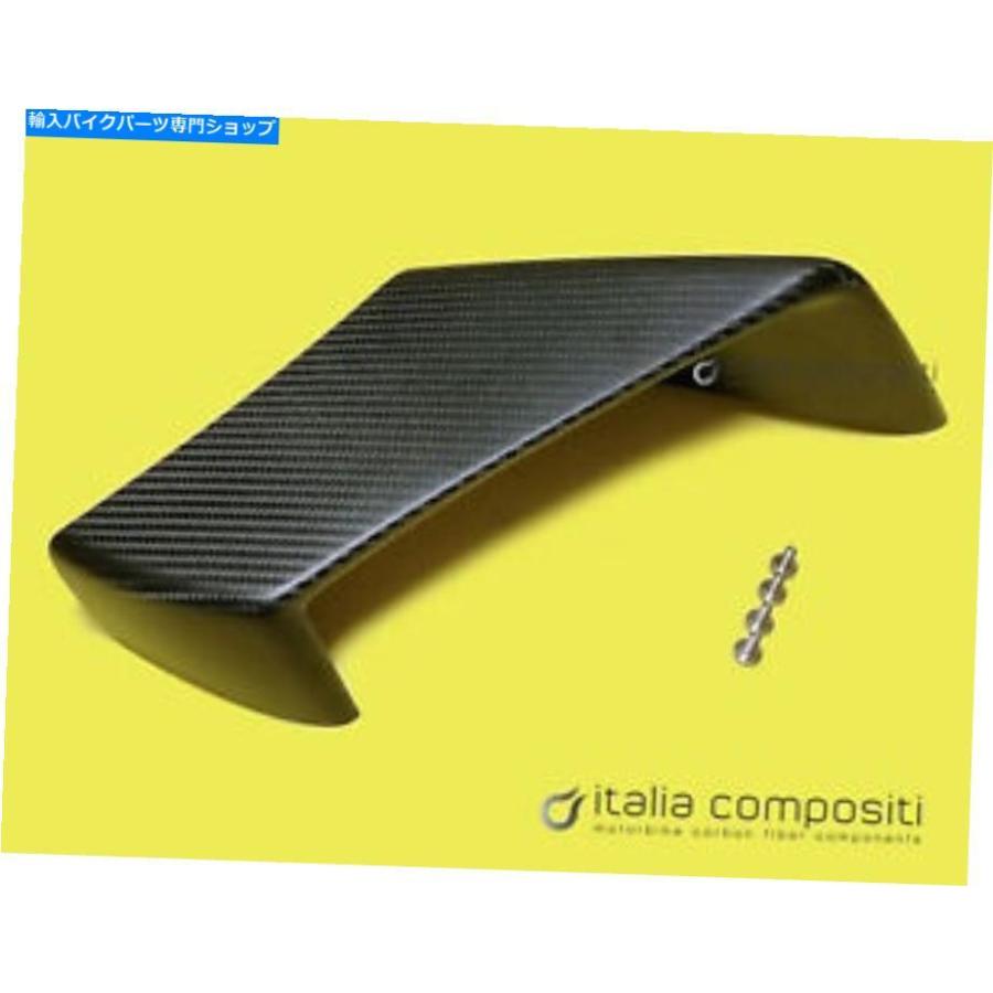 カーボン ウィングレットサイド右アプリアリソンズ4（2009-2020） - カーボンファイバー Winglet Side Right Aprilia RSV4 (2009-2020) - Carbon Fibe