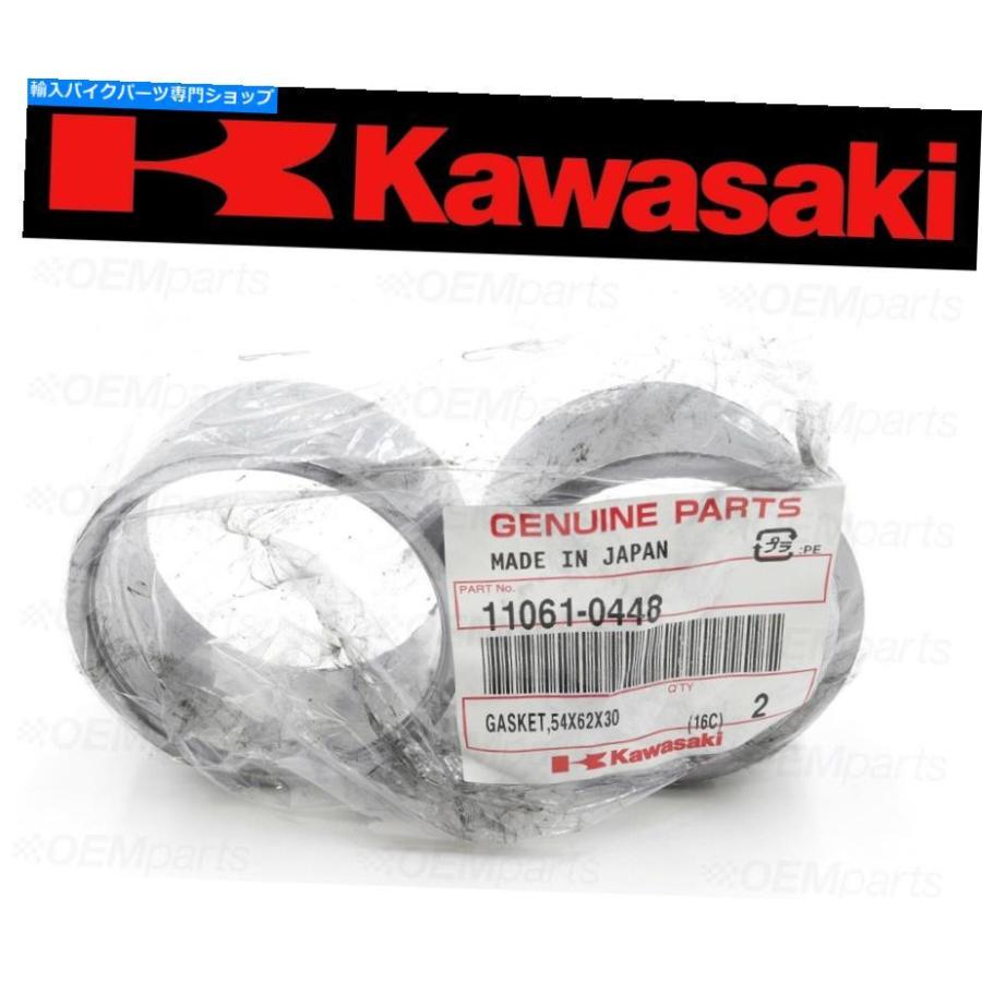 確認 サイレンサー モーターバイク排気済みカラーバイプカートトコロ