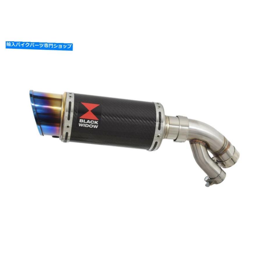 サイレンサー BMW S1000XR 2015-2019排気デイビンダー230mmラブン=エーメン+フルーバーカッピングCL20R-オリジナルのタイトルを表示 BMW S1000XR 2015の画像