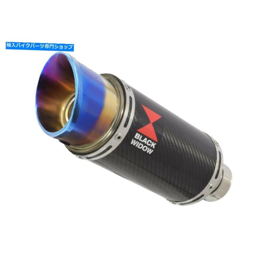 サイレンサー BMW S1000XR 2015-2019排気デイビンダー230mmラブン=エーメン+フルーバーカッピングCL20R-オリジナルのタイトルを表示 BMW S1000XR 2015の画像