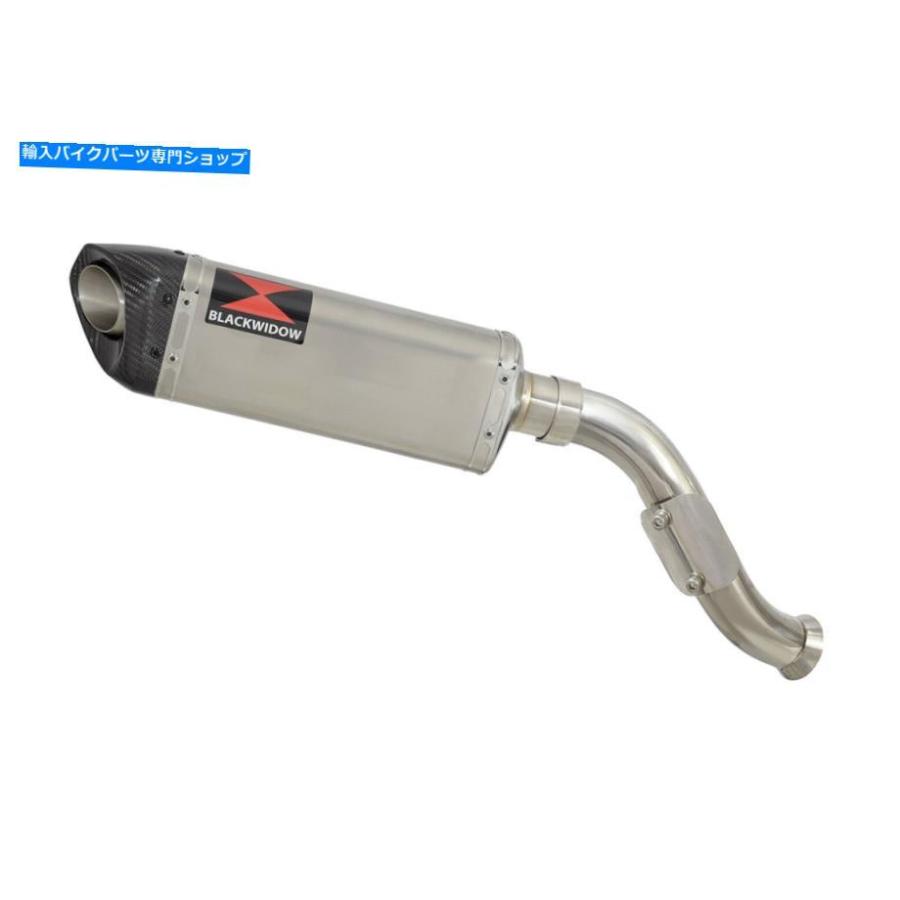 サイレンサー VFR750 VFR 750 FR FS FT FV 94-97ファイカルダイバインダイヤーサイトSC 30T-オリジナルタイトルを表示 VFR750 VFR 750 FR FS FT FV 94の画像