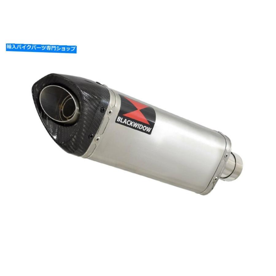 サイレンサー VFR750 VFR 750 FR FS FT FV 94-97ファイカルダイバインダイヤーサイトSC 30T-オリジナルタイトルを表示 VFR750 VFR 750 FR FS FT FV 94の画像