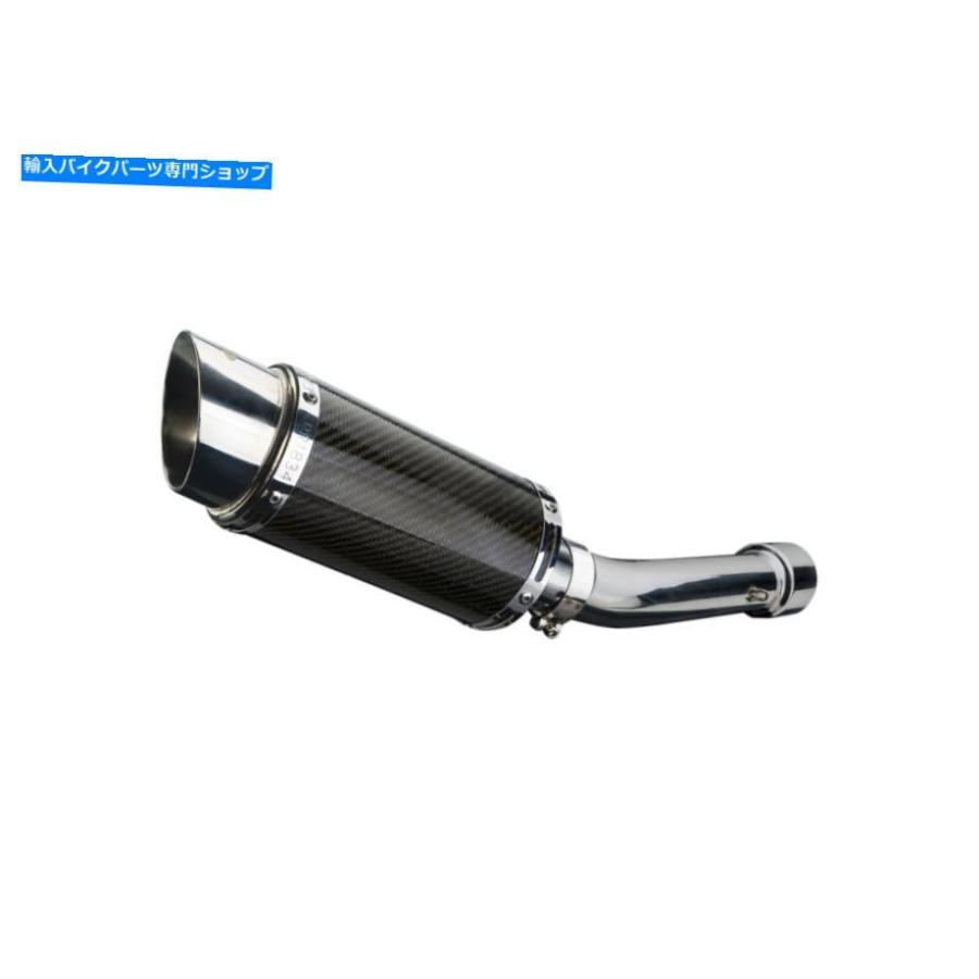 サイレンサー Aprilia RSV Mille R 1000 Delkevic 8 