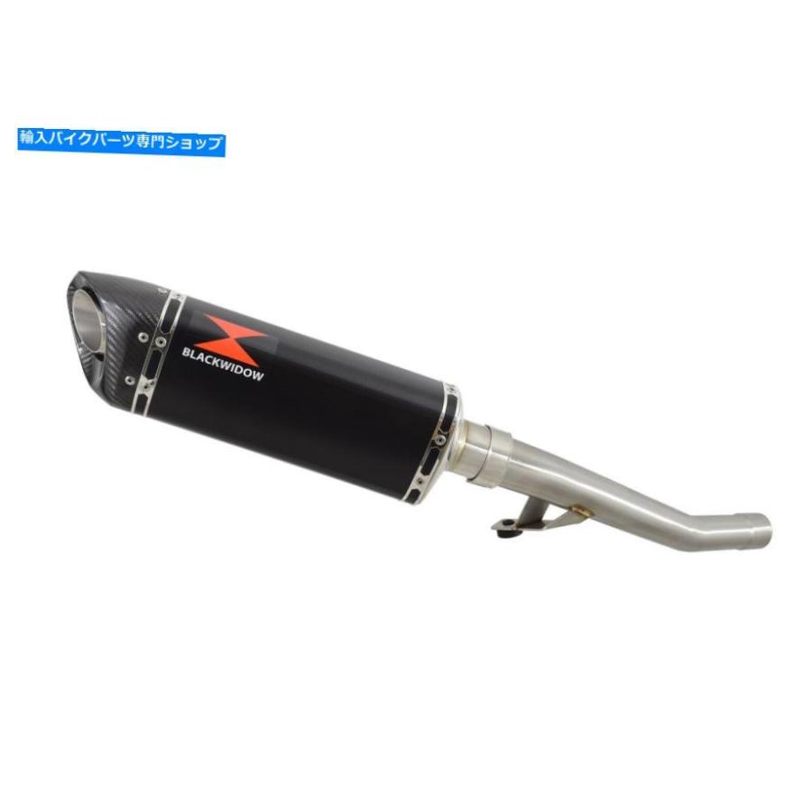 サイレンサー GSF 600 650 1200 1995-2006エンゲットデイビンペットTRI-OVALブラスック+メーチンズBC30T-オリジナルのタイトルを表示 GSF 600 650 120の画像
