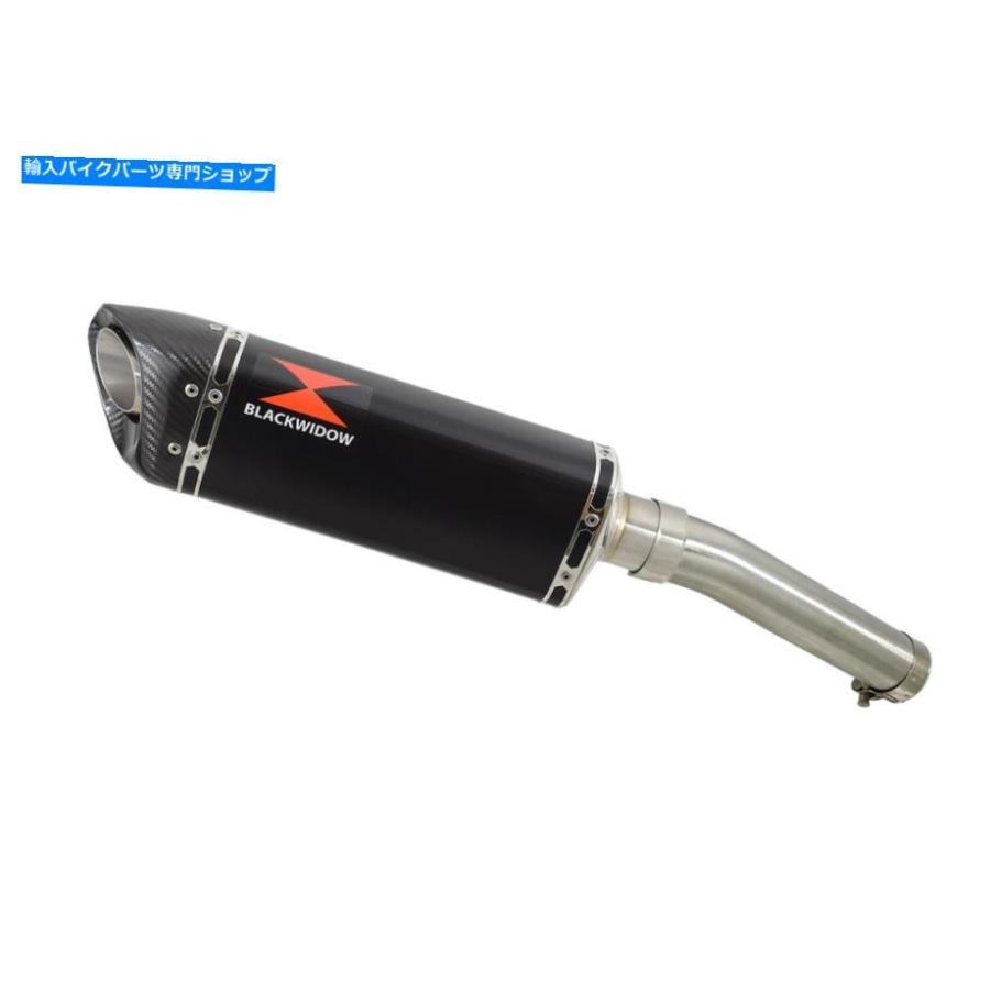 サイレンサー CBF 1000 2010-2016 4-1【300mmトライバーズルブラックスポーツBC30T-オリジナルのタイトルを表示 CBF 1000 2010-2016 4-1 排気サイレンの画像