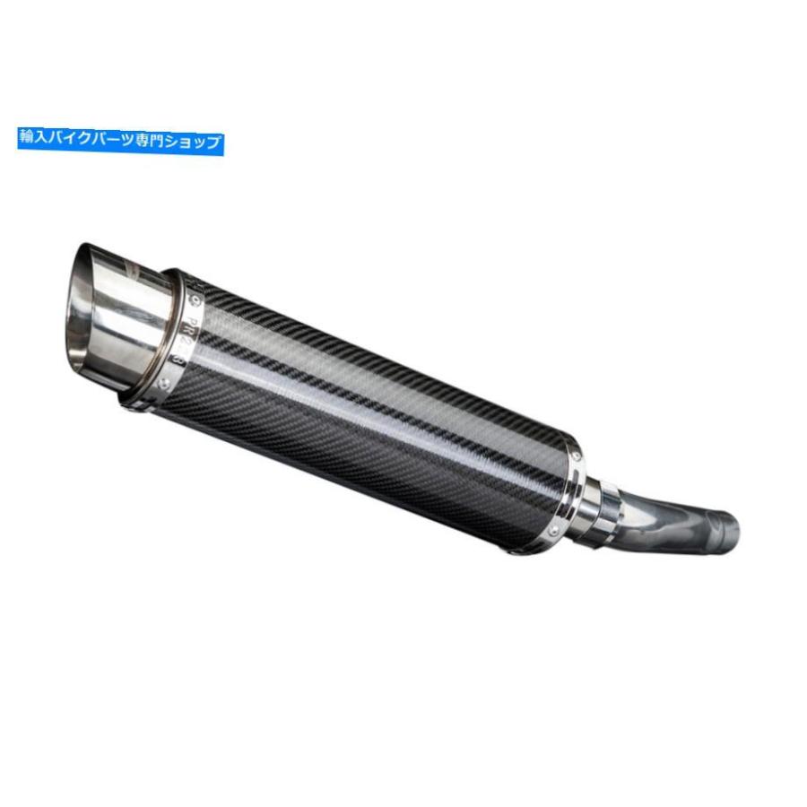GSX-R600 ⁄ GSX-R750 ( 08-10 ⁄ K8-L0 ) AKRAPOVIC アクラポビッチ