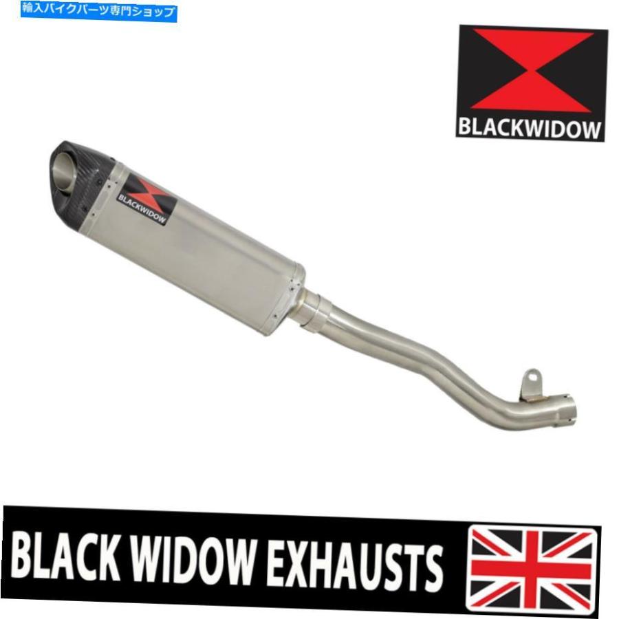 サイレンサー ZX10R ZX-10R 2016-2020 De Cat Krigether排気デイビン