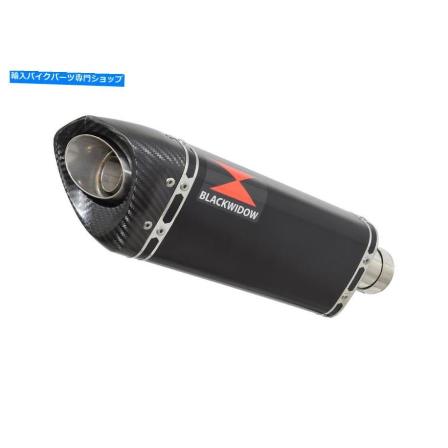 サイレンサー YZF-R1 1999 1999年4XV YZF R1 2000 2001年5JJフタイマイン・トライゲルBC30T-オリジナルのタイトルを表示 YZF-R1 1998 1999 4XV YZF R1の画像