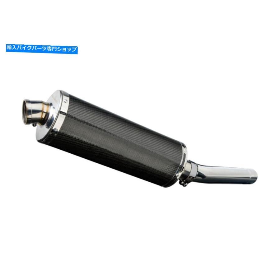 サイレンサー ←ZX-9Rカルフエッグスリッコ14 