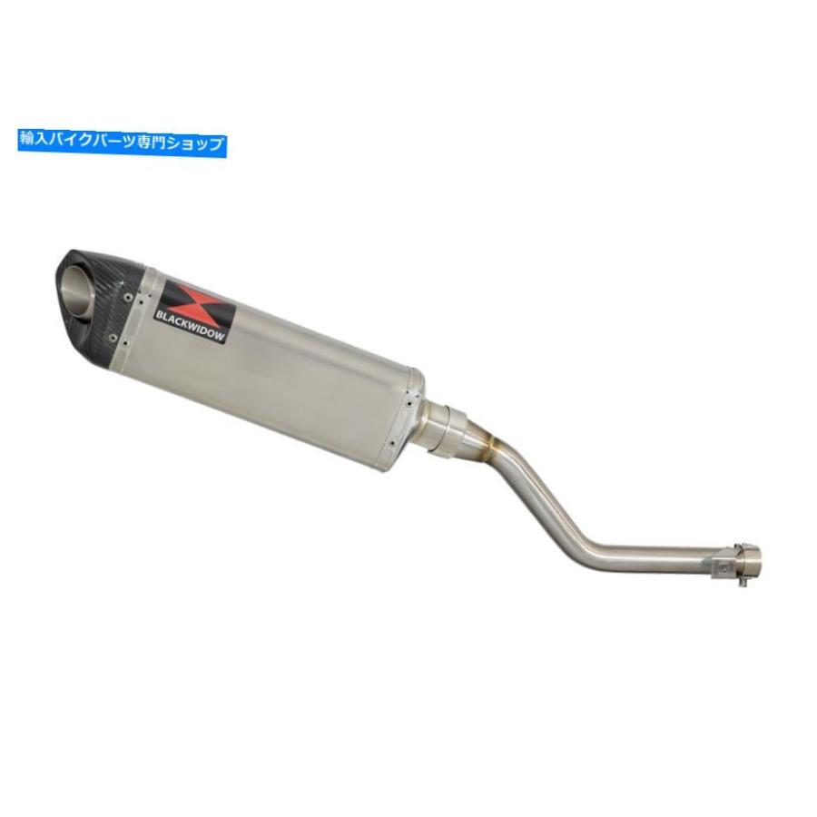 サイレンサー Keeway Tx 125排気デイビンダー350mmトライパンシェーンドッグスポットSC35T-オリジナルのタイトルを表示 Keeway TX 125 排気サイレンサの画像