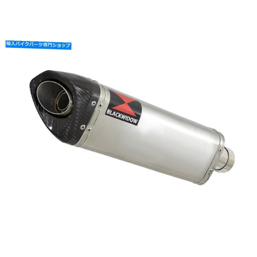 サイレンサー Keeway Tx 125排気デイビンダー350mmトライパンシェーンドッグスポットSC35T-オリジナルのタイトルを表示 Keeway TX 125 排気サイレンサの画像