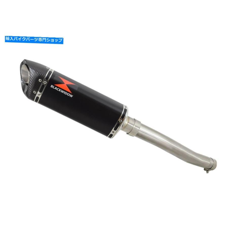 サイレンサー ←YZFR 6 YZF-R6 1998-2002排気デイパンダイバーット300mmトイレビールBC30T-オリジナルのタイトルを表示 ヤマハ YZFR 6 YZF-R6 1998-20の画像