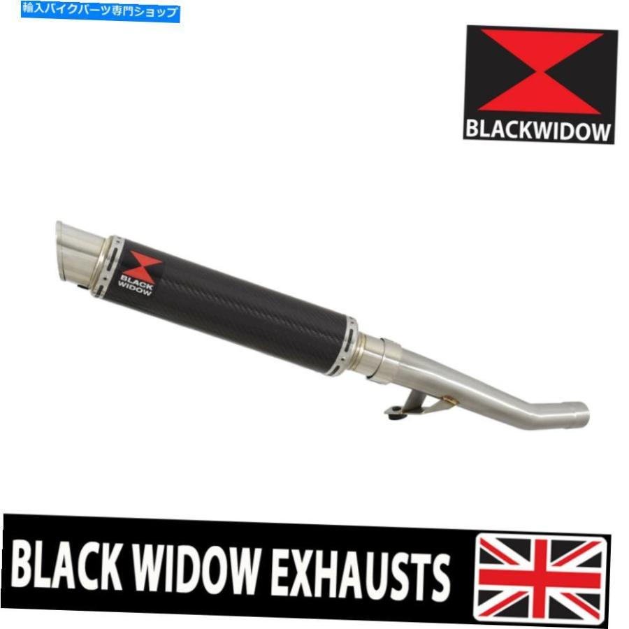 S.H.Figuarts 孫悟空 伝説の スーパーサイヤ人 ドラゴンボール 悟空 お客様組み立て〕 収納 ベッド 通常丈 セミシングル 跳ね上げ式 横開き