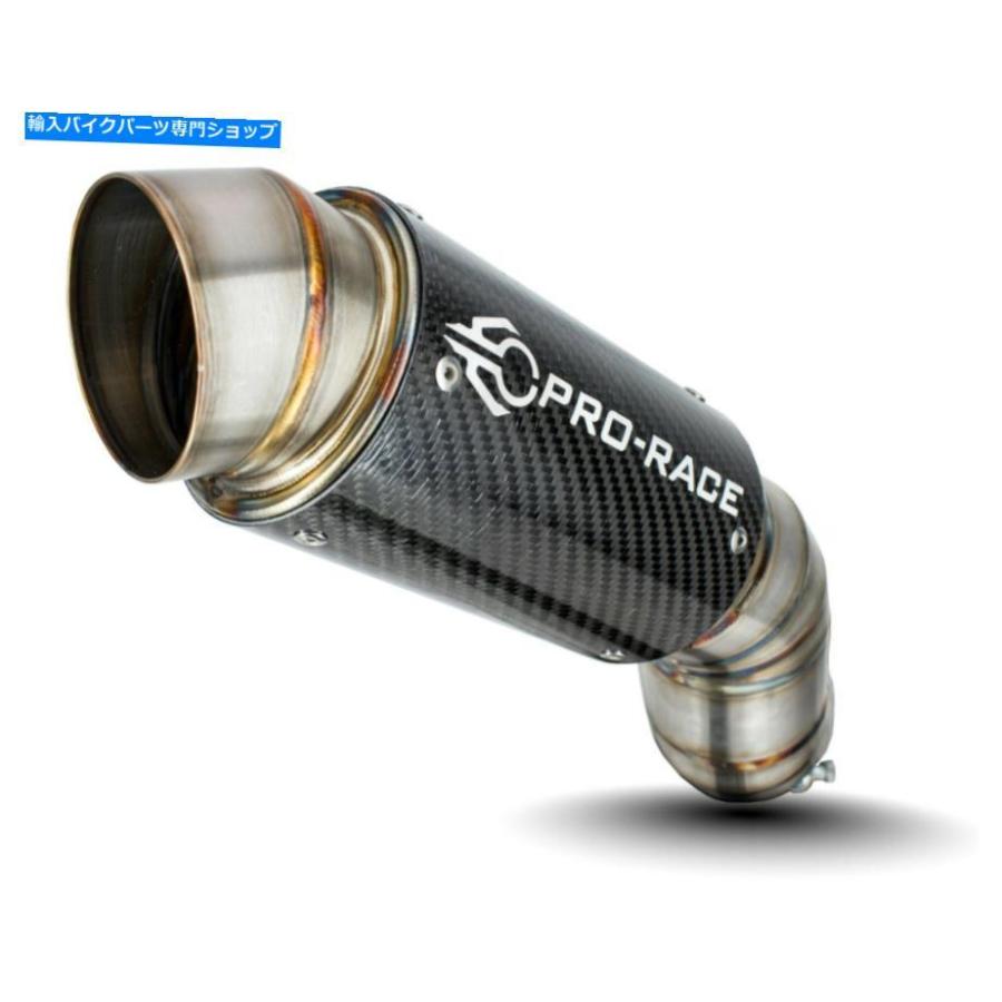 サイレンサー KTM 1290スーパーマークR 2014-2016 GP-R3RショーGP排気
