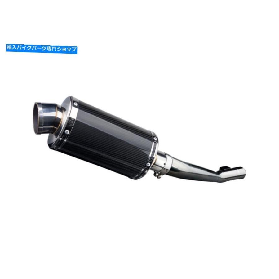 サイレンサー スズキGSF650エンゲットデルケビックスリッサン9 \"ジョーボンデイヤーセルフルカラー排気05-07-オリジナルのタイトルを表示する Suzuki"
