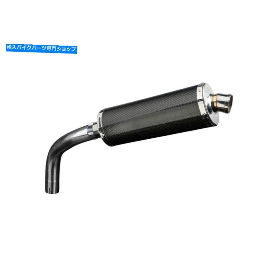 サイレンサー ヤマハXTZ1200百貨店どんぶり鉢14 \"オーセンズルカラー排気ガス - 一風変わったのかた書きを見せびらかすする Delkevic Slip On Yamaha XTZ1200 百貨店" マフラー-車、バイク、自転車-バイク
